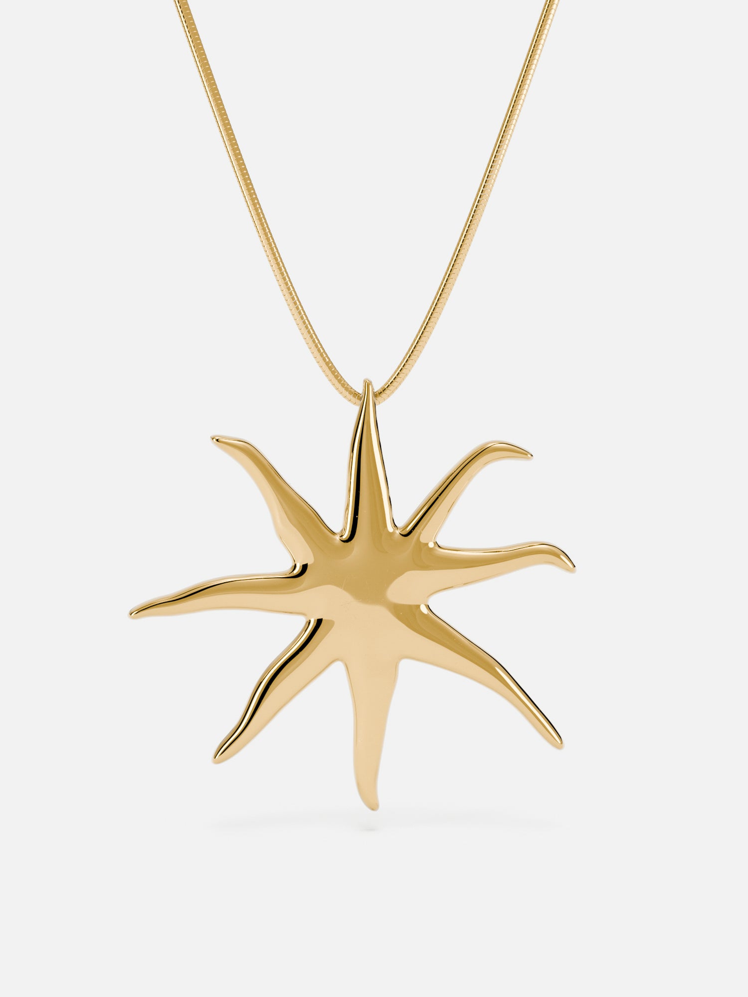 NÁHRDELNÍK STARFISH